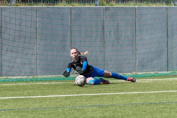 Bild 253 - Saisonstart Oberliga